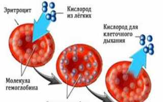 Гемоглобин единицы измерения