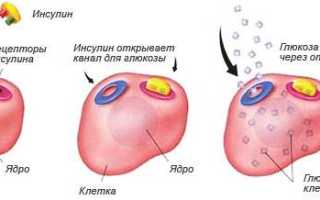 Инсулин показатели нормы