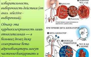 Бета адренорецепторы это