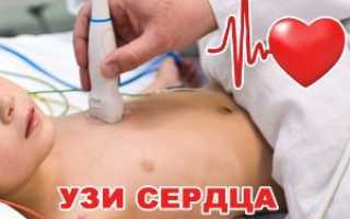 Норма узи сердца взрослого человека