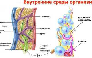 Лимфостаз верхних конечностей лечение в домашних условиях