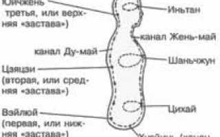 Неоглори гимнастика для сердца и внутренних органов