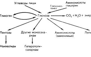 Глюкозный тест