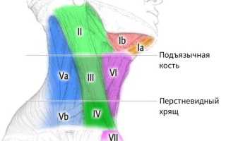 Рентген лимфоузлов