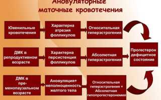 Дисфункциональные маточные кровотечения лечение