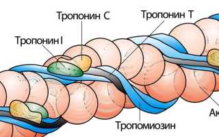 Сердечный тропонин