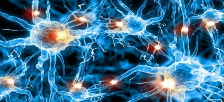 Электроэнцефалография головного мозга что показывает