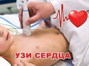 Как делают эхо кг сердца женщинам