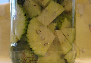 маклюра адамово яблоко настойка применение