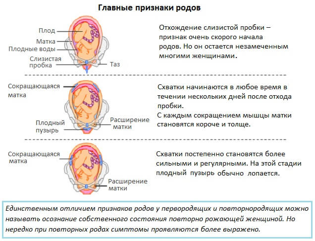 39 неделя беременности болит живот как при месячных и спина болит