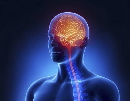 Почему каждый день болит голова у мужчин