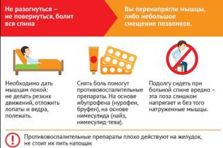 У мужа болит спина от тяжестей что делать