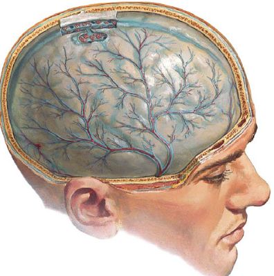 болит вся спина от поясницы до шеи и температура