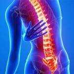 Лимфоузел на спине болит