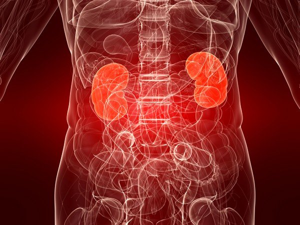 Часто обострение хронических заболеваний почек и печени после сильного кашля вызывает боль в правом боку с отдачей в спину Часто обострение хронических заболеваний почек и печени после сильного кашля вызывает боль в правом боку с отдачей в спину