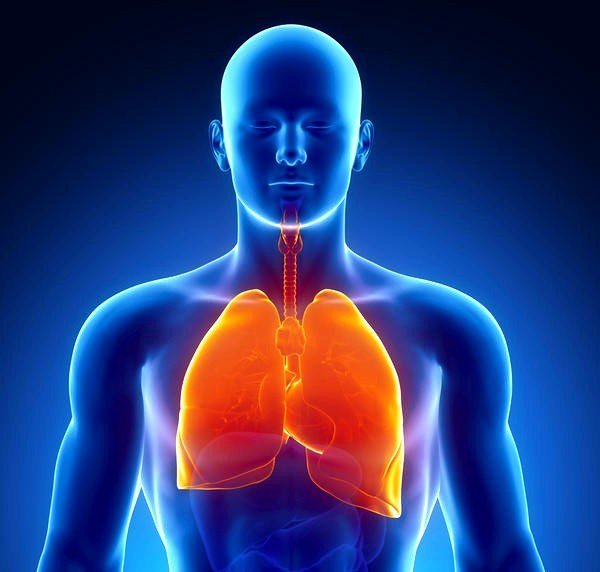 Острый бронхит – воспаление слизистой оболочки бронхов и трахеи