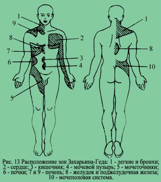 О ЧЕМ говорит появления БОЛИ в спине справа О ЧЕМ говорит появления БОЛИ в спине справа