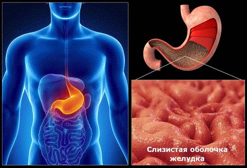 Когда поем болит спина