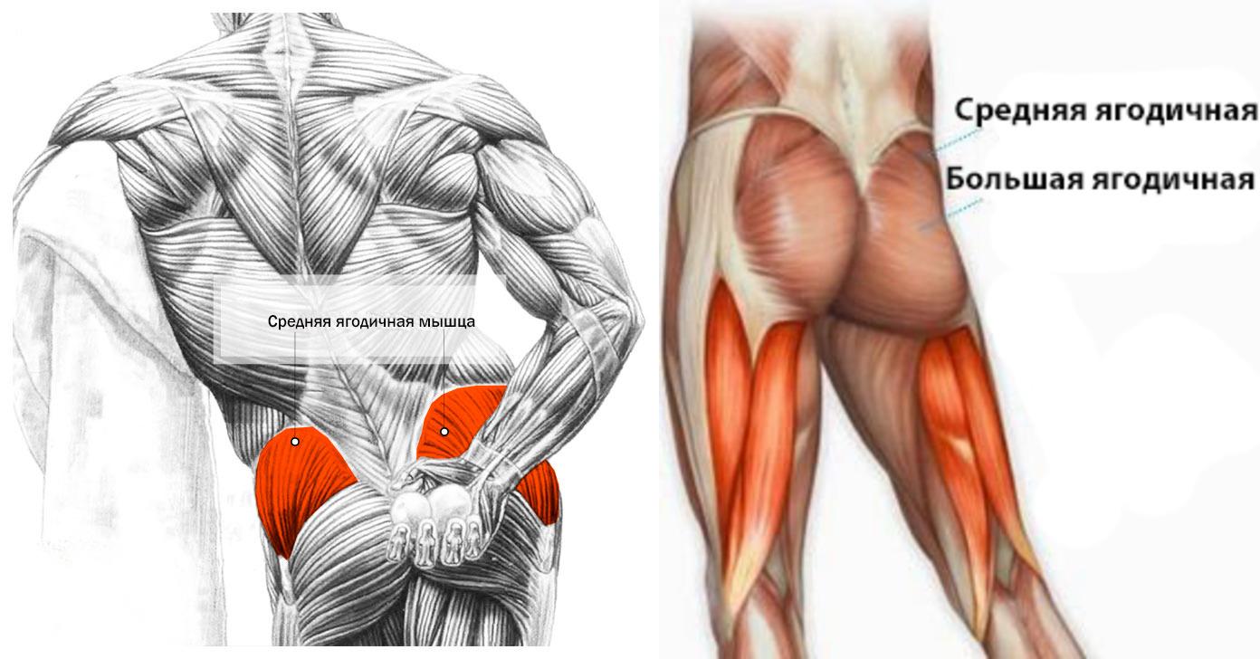 как избавиться - анатомия