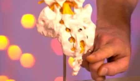 Боли в копчике и ягодицах Боли в копчике и ягодицах