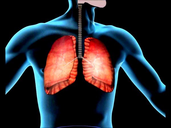 Заболевания нижних дыхательных путей могут вызвать боли в правом боку при кашле Заболевания нижних дыхательных путей могут вызвать боли в правом боку при кашле