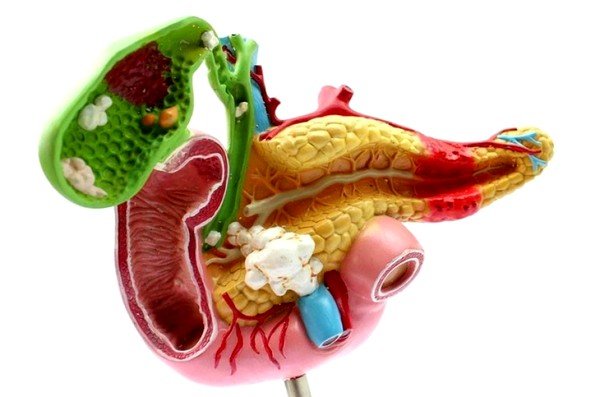 При желчекаменной болезни наблюдается приступообразная боль в правом боку под ребрами При желчекаменной болезни наблюдается приступообразная боль в правом боку под ребрами