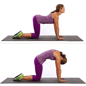 как делать зарядку если болит с спина