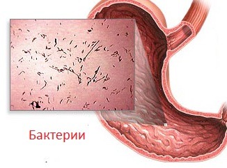 Болит желудок озноб болит голова