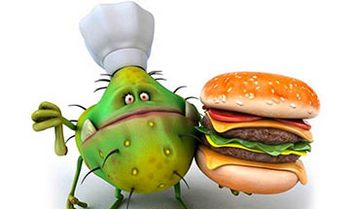 Болит желудок озноб болит голова