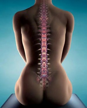 как делать зарядку если болит с спина