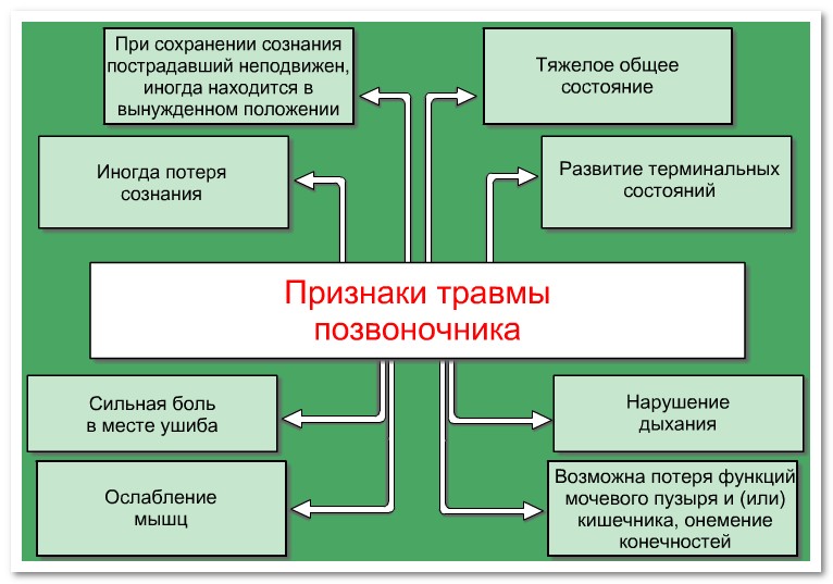 Признаки травмы позвоночника